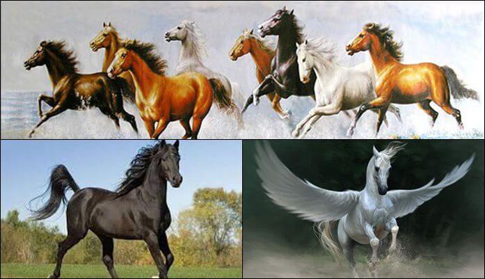 Nằm mơ thấy ngựa là điềm báo tốt hay xấu? Mơ thấy ngựa đánh đề con gì?